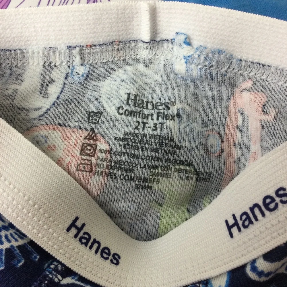 NWOT  Hanes Lot Toddler Boy boxers  & socks